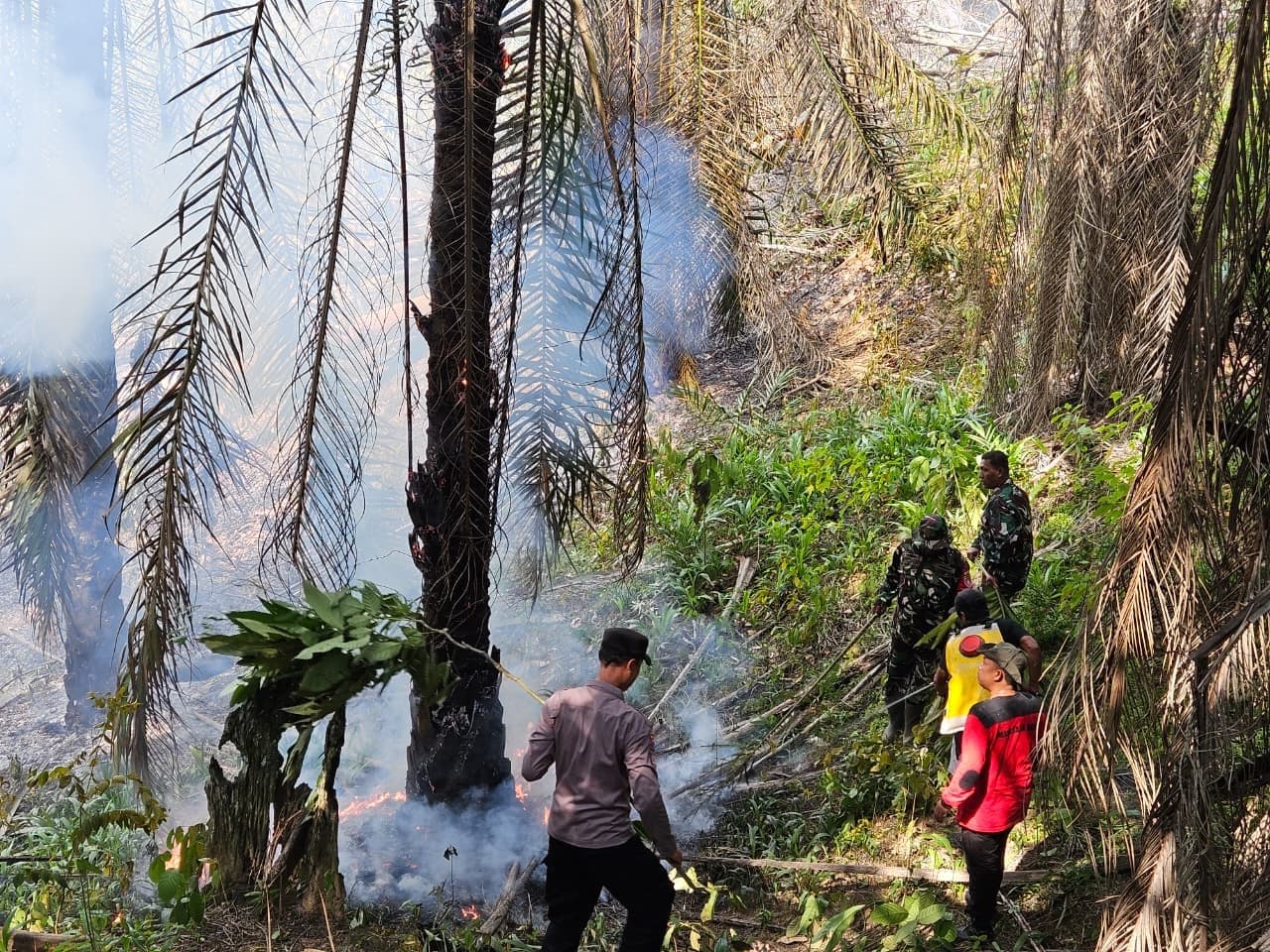 Tim Gabungan Gerak Cepat Padamkan Potensi Karhutla di Teluk Pandan