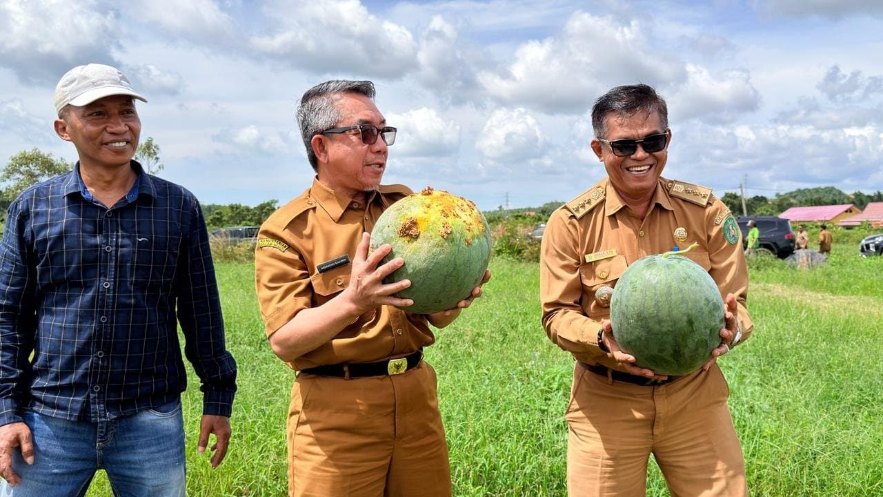 Hortikultura Peluang Baru Ekonomi Desa di Tengah Dominasi Sawit