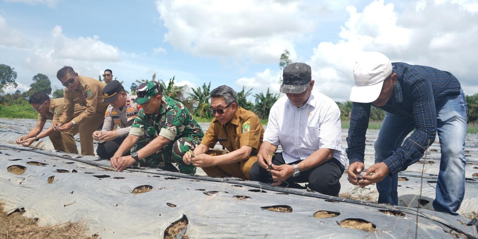 Ditanami 6.000 Melon, Teluk Pandan Didorong Jadi Sentra Hortikultura