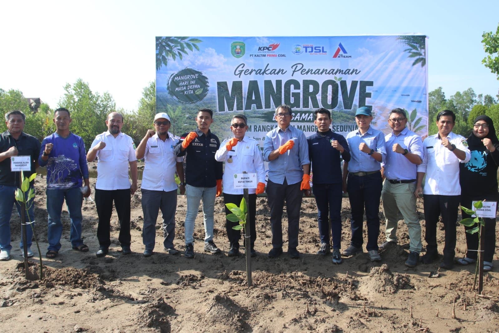 Menjaga Pesisir Kutim Lewat Penanaman Mangrove di Pantai Teluk Lingga