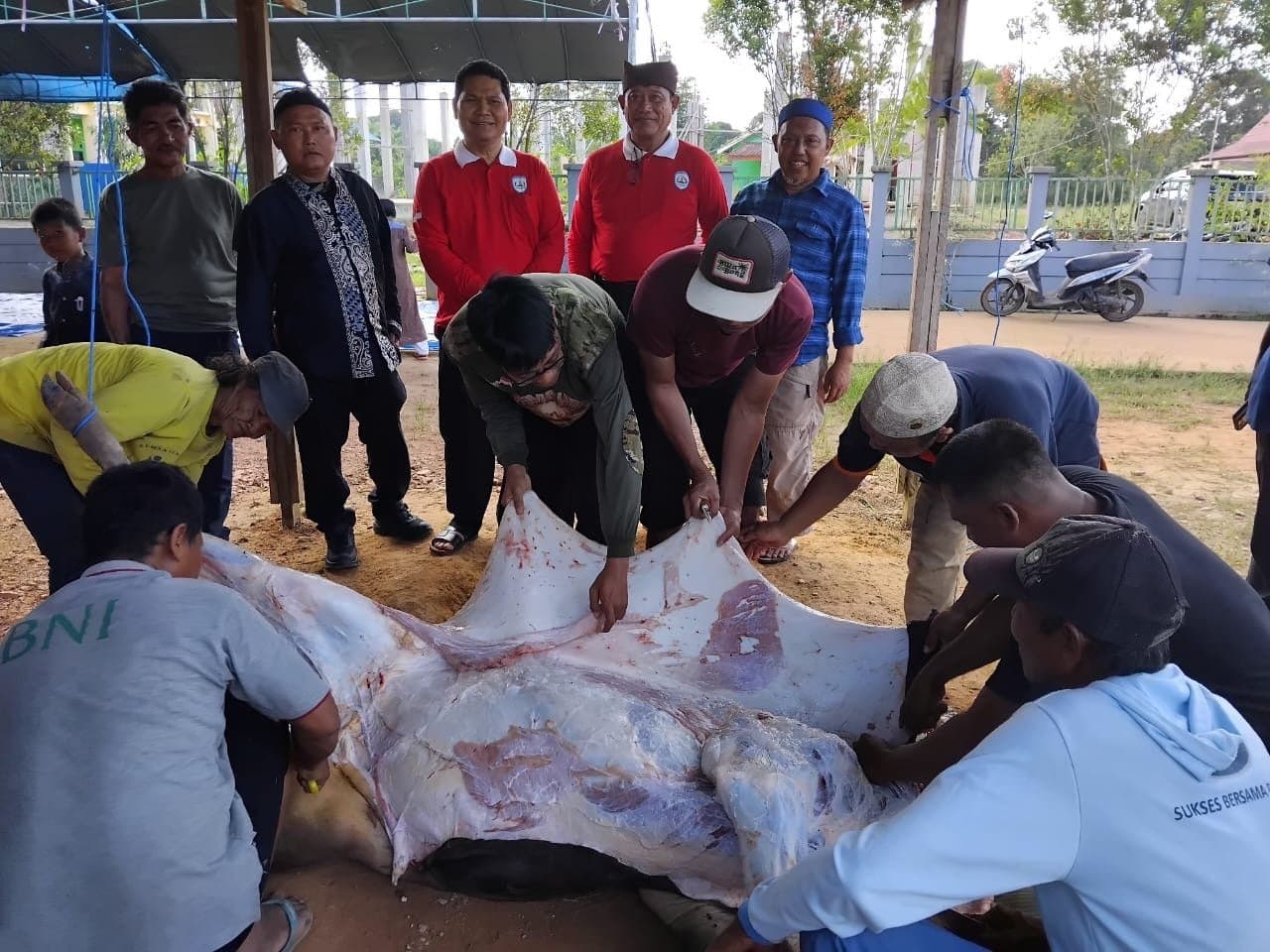 Kurban IKAWANGI Menjaga Anyaman Persaudaraan di Kutim
