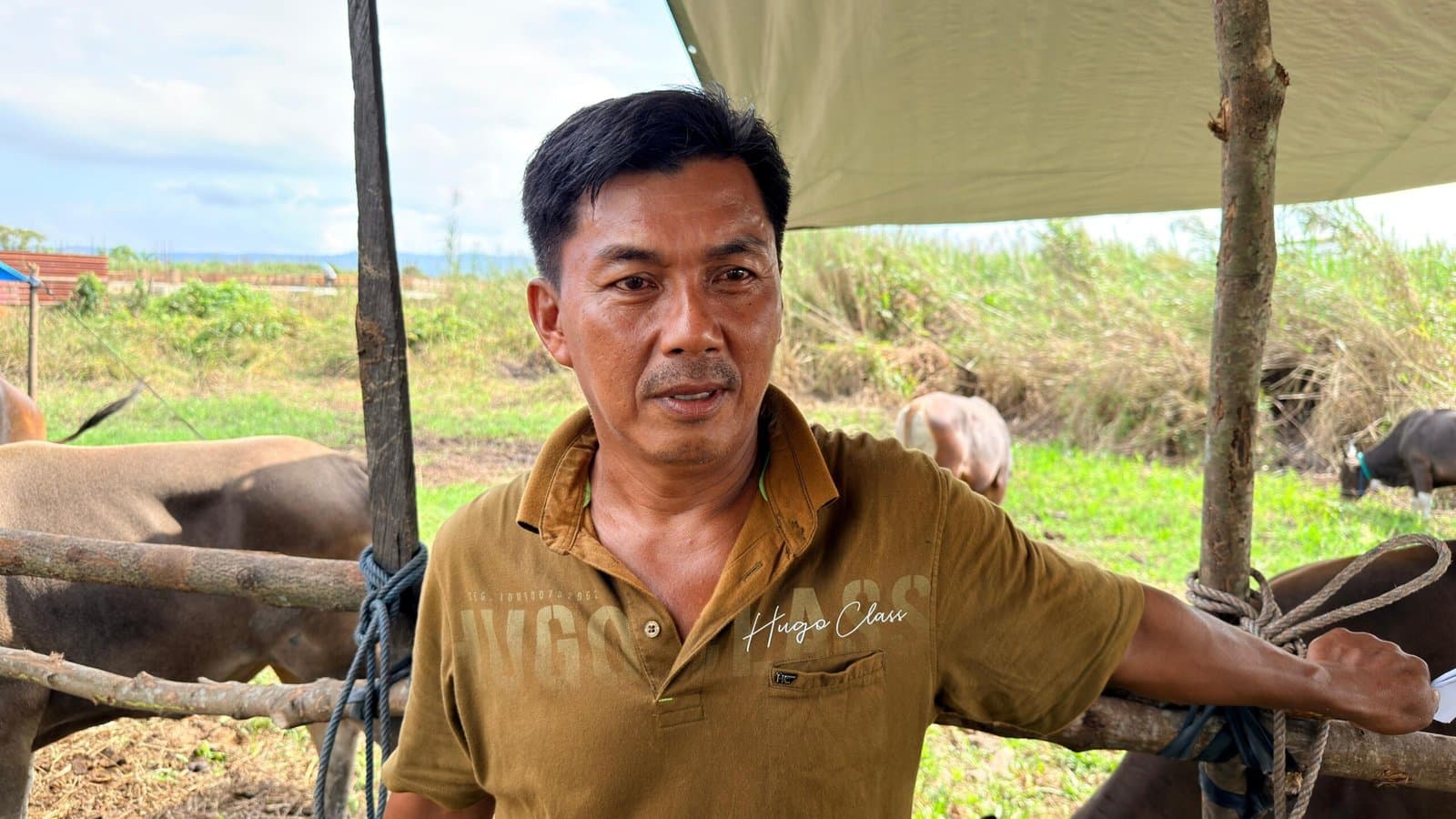 Sopyan Optimistis Puluhan Sapi Kurbannya Ludes Sebelum Iduladha