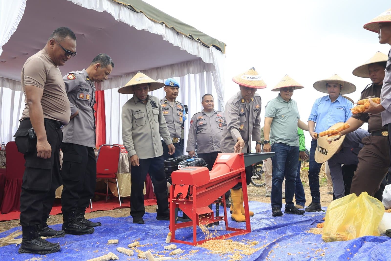 Sinergi Pemkab Kutim, Polres, dan KPC Sukseskan Panen Raya Jagung