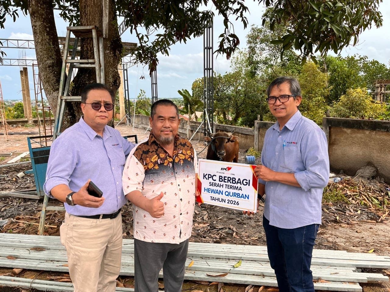 KPC Bagikan 65 Ekor Sapi Kurban untuk Masyarakat