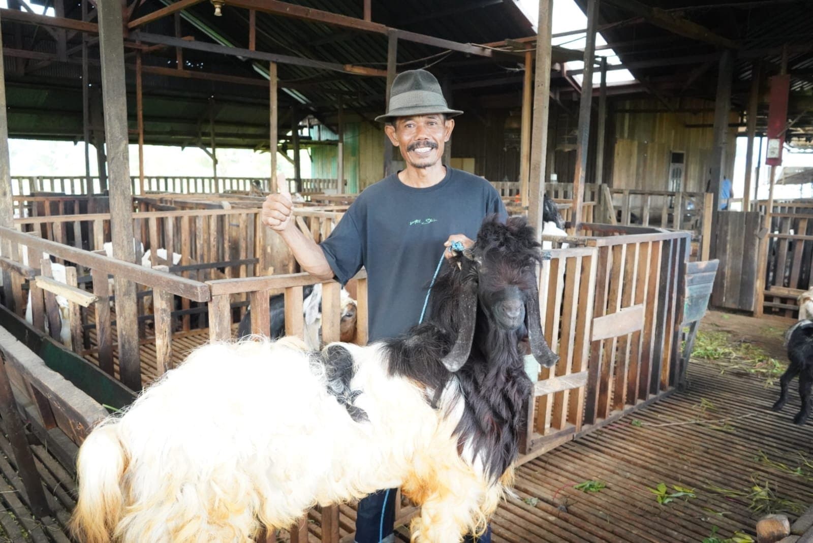 Dari Tambang ke Kandang - Mantan Karyawan Buktikan Peternakan Jadi Masa Depan Ekonomi Pascapensiun